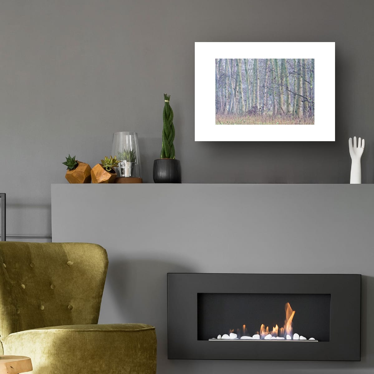 Wood From The Trees (Limited Edition)