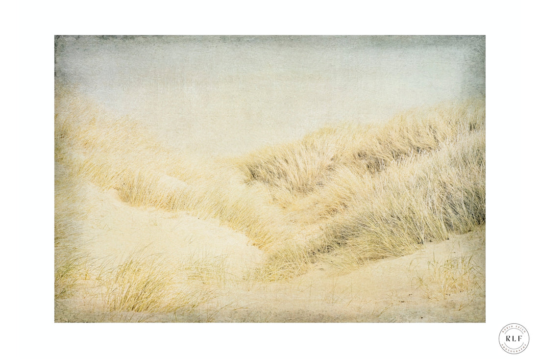 “Dunes I & II: The Edge of Remembering”