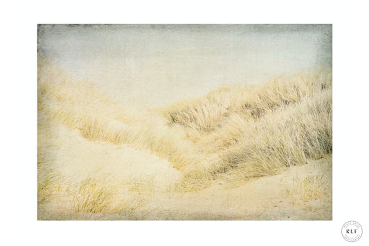 “Dunes I & II: The Edge of Remembering”