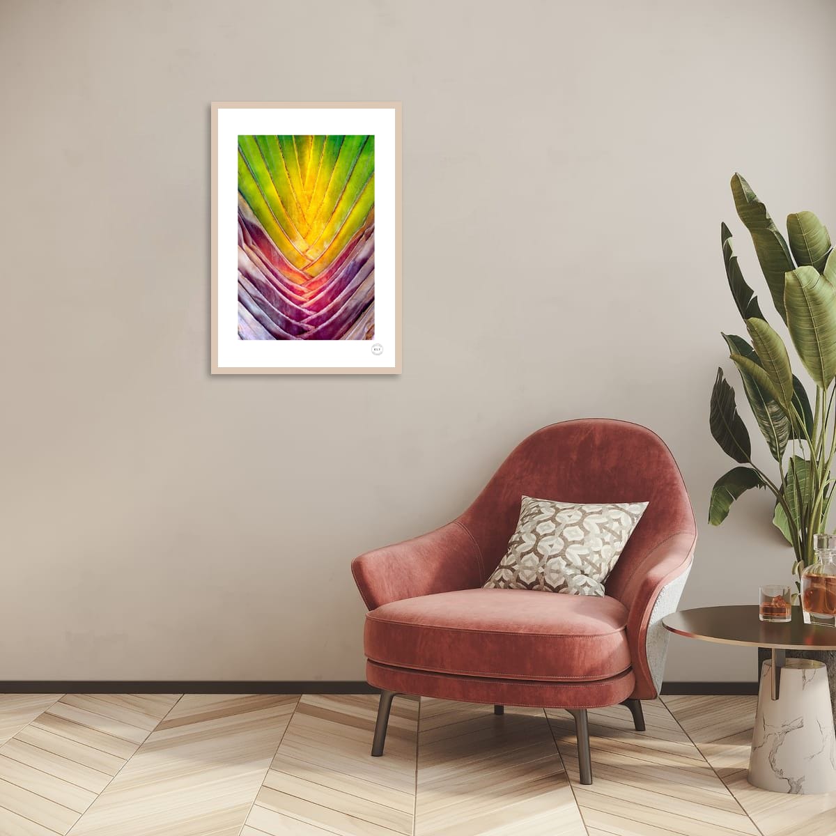 Chromatic Fan