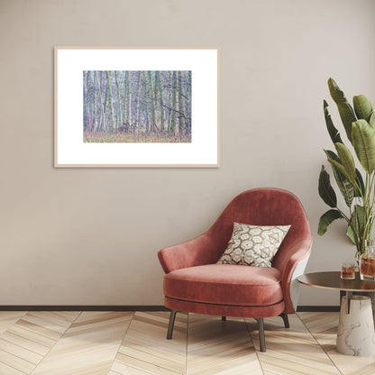 Wood From The Trees (Limited Edition)