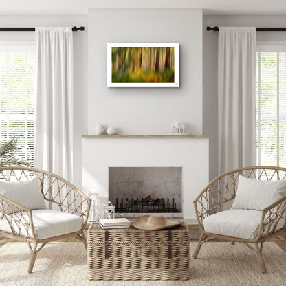 Ferns and Firs (Limited Edition)