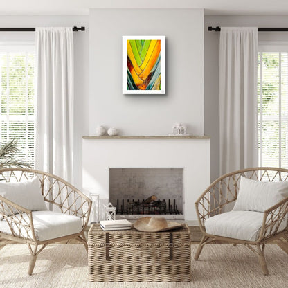 Chromatic Fan II