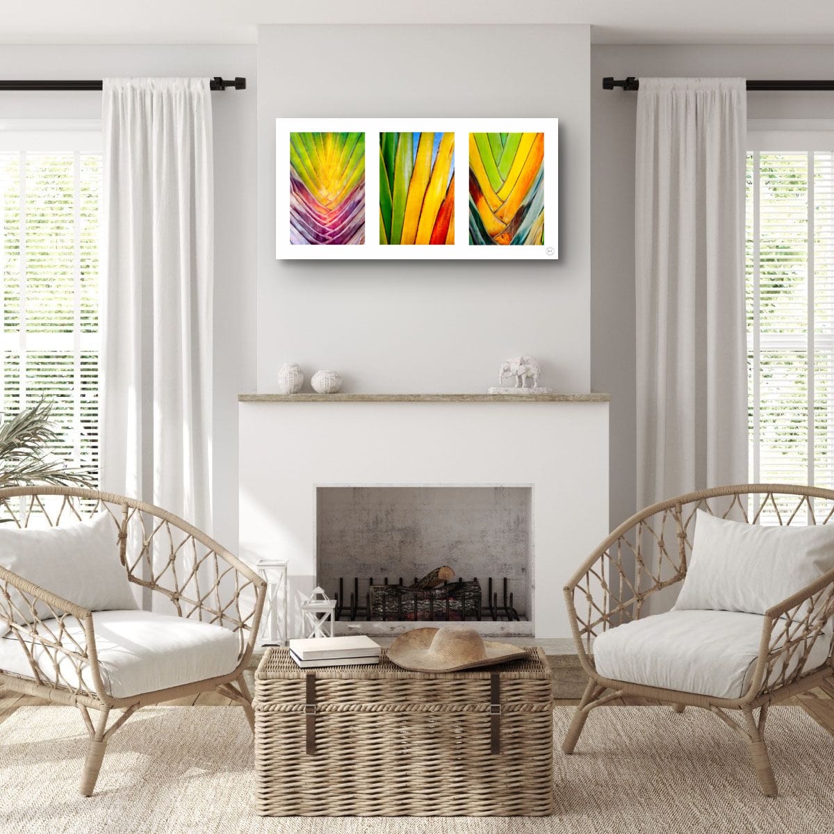 Chromatic Cactus Triptych