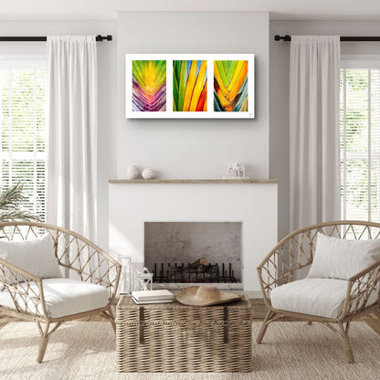 Chromatic Cactus Triptych
