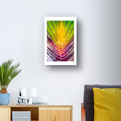 Chromatic Fan