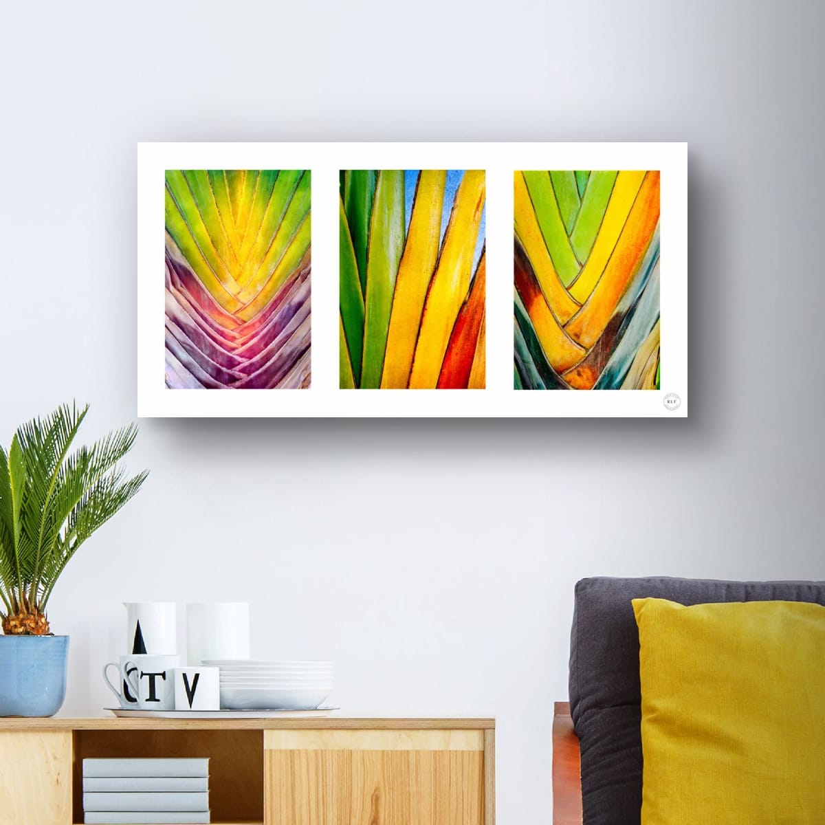 Chromatic Cactus Triptych