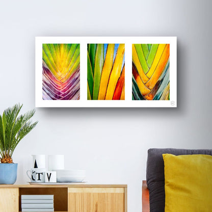 Chromatic Cactus Triptych