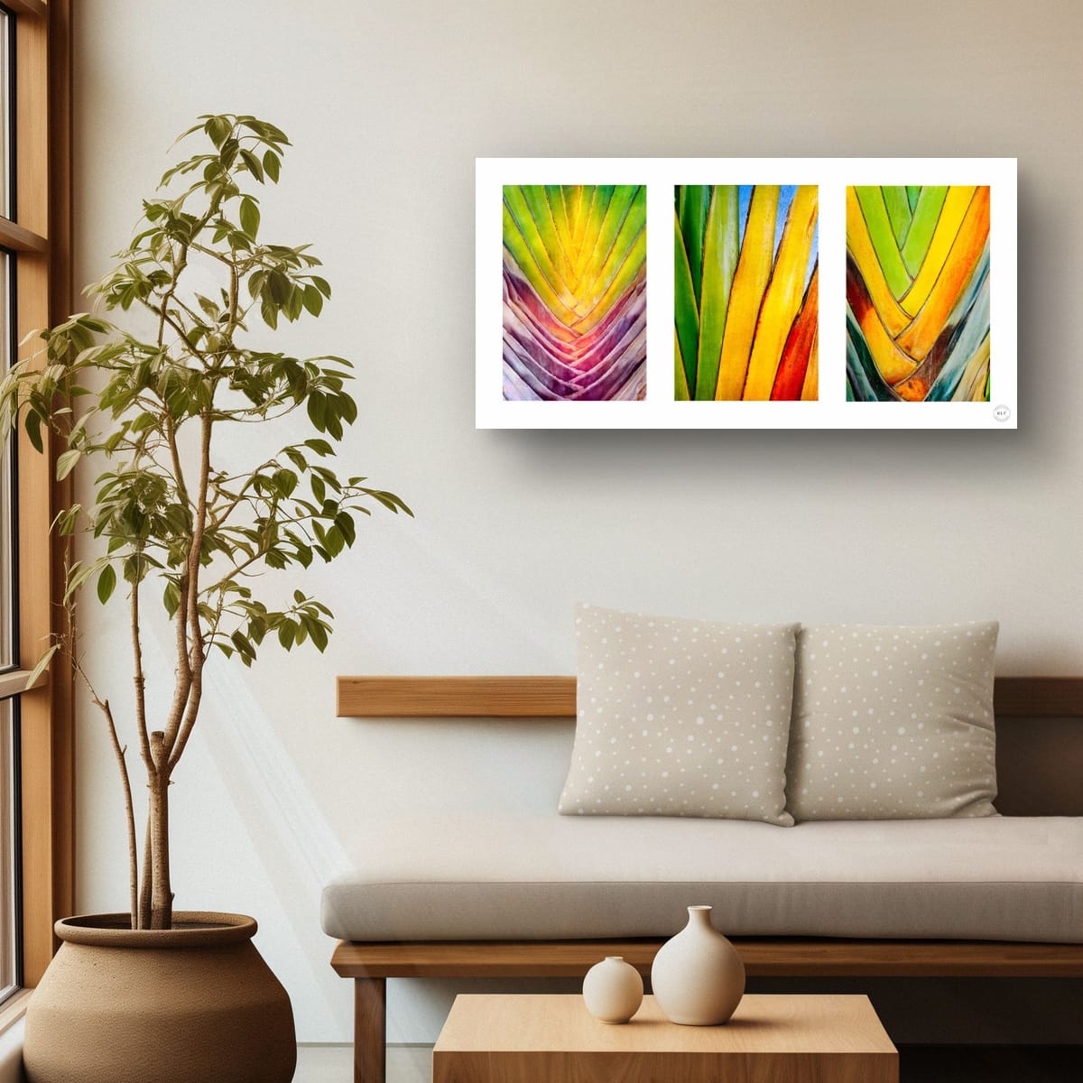 Chromatic Cactus Triptych