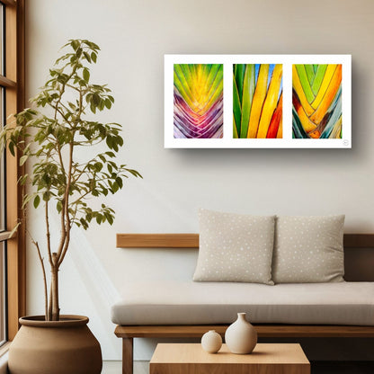 Chromatic Cactus Triptych