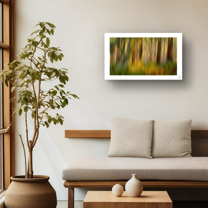 Ferns and Firs (Limited Edition)