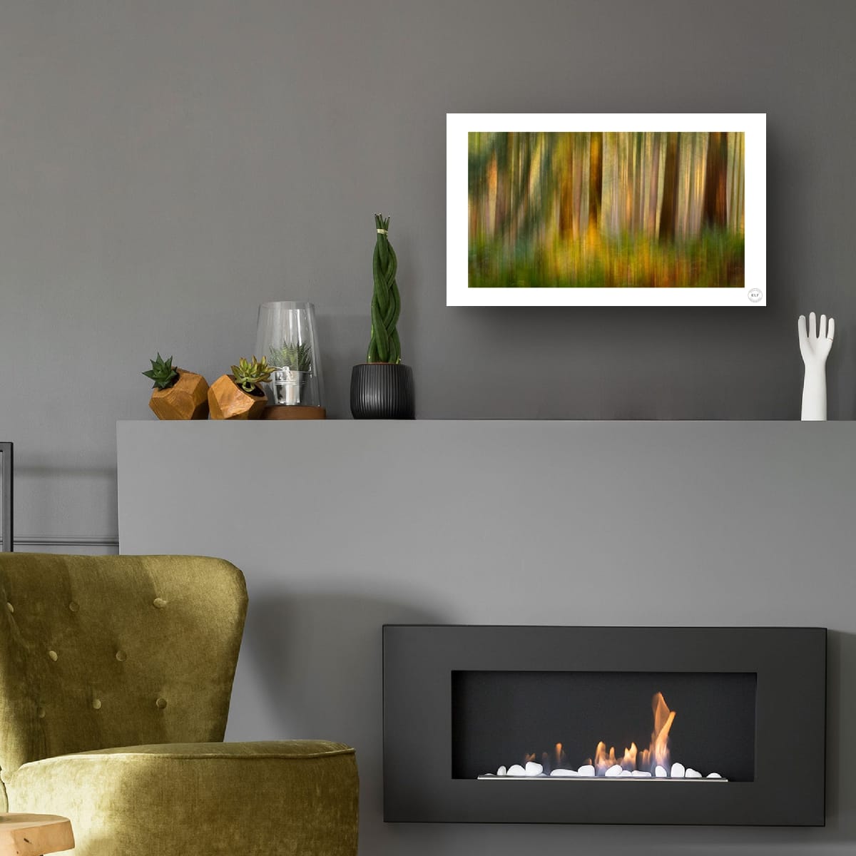 Ferns and Firs (Limited Edition)