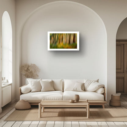Ferns and Firs (Limited Edition)