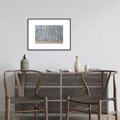 Wood From The Trees (Limited Edition)