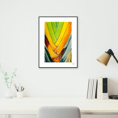 Chromatic Fan II