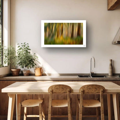 Ferns and Firs (Limited Edition)