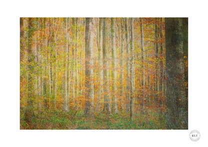 Autumn Serenity