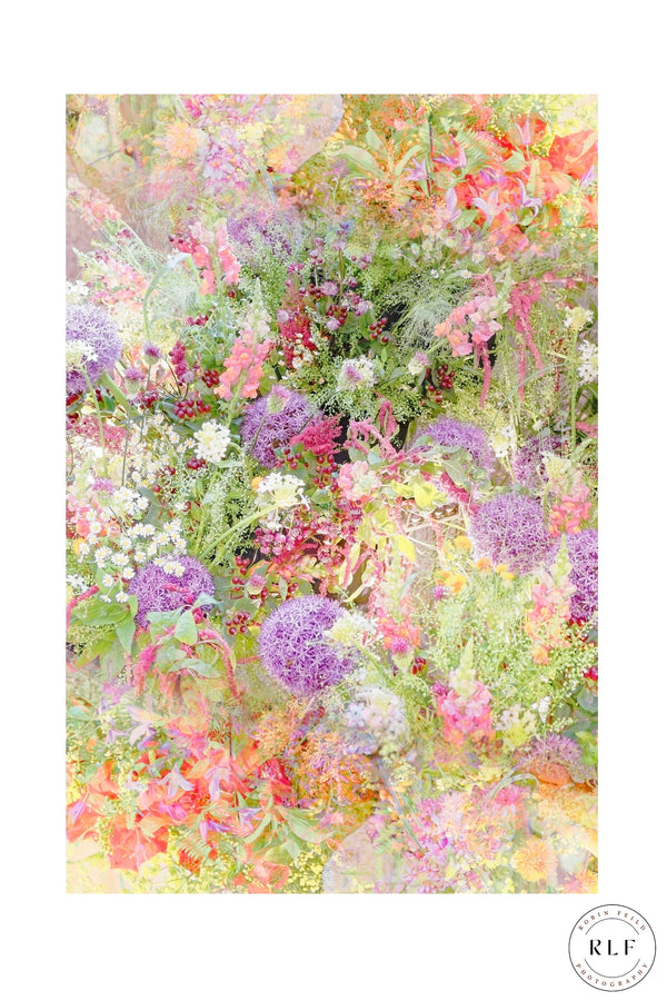 Cathedral Flowers II