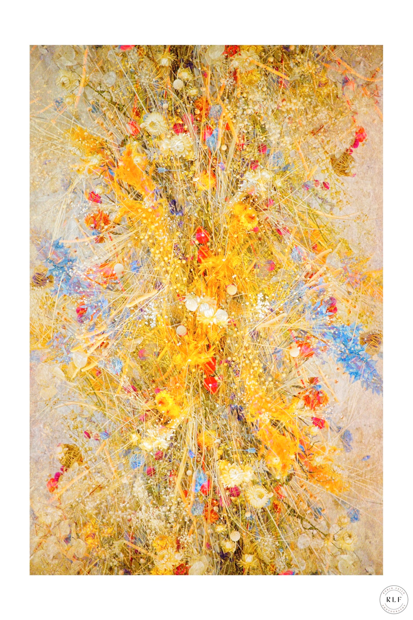 Dense arrangement of dried flowers in bright yellows, reds, and blues, with textured background. Fine art photography by RLF Photography