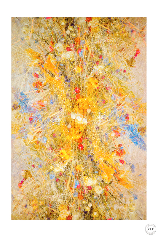 Dense arrangement of dried flowers in bright yellows, reds, and blues, with textured background. Fine art photography by RLF Photography