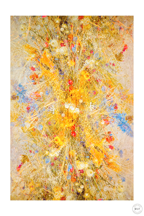 Cathedral Flowers III