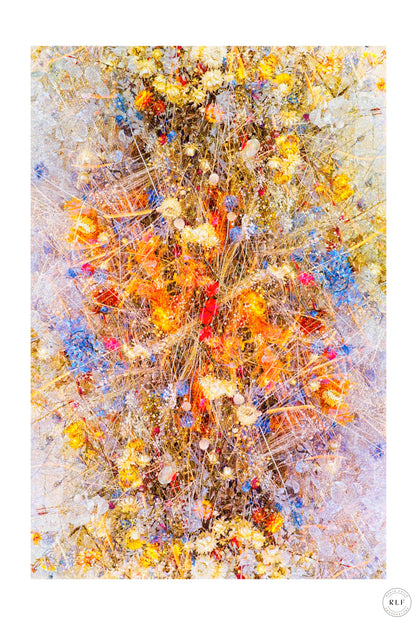 Multiple exposure of colourful flower arrangements with bright yellows, reds, blues, and oranges. Fine art photography by RLF Photography