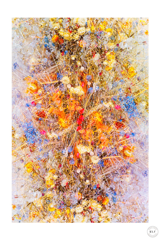Multiple exposure of colourful flower arrangements with bright yellows, reds, blues, and oranges. Fine art photography by RLF Photography