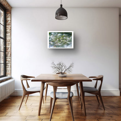 Soft Currents, Fallen Leaves