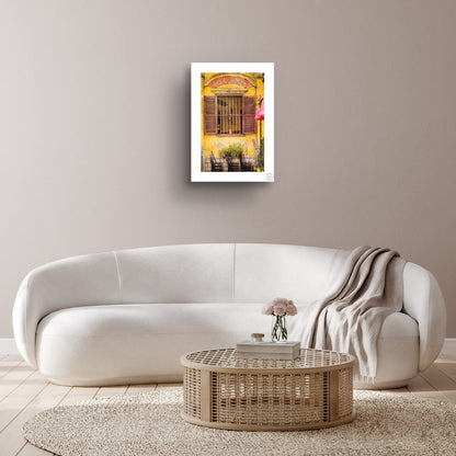 Shutters On The Window