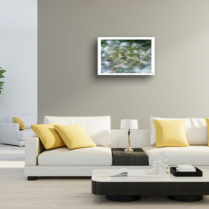 Soft Currents, Fallen Leaves