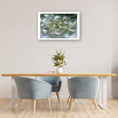 Soft Currents, Fallen Leaves