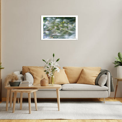 Soft Currents, Fallen Leaves