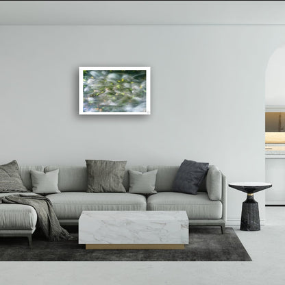 Soft Currents, Fallen Leaves