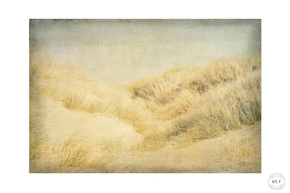 Sand dunes and grasses by the sea, bathed in soft, warm light. Fine art photography by RLF Photography
