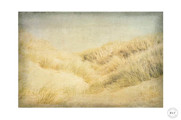 Dunes I