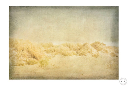 Rolling sand dunes with golden grasses under a hazy, sunlit sky. Fine art photography by RLF Photography