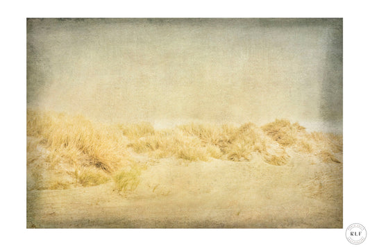 Rolling sand dunes with golden grasses under a hazy, sunlit sky. Fine art photography by RLF Photography