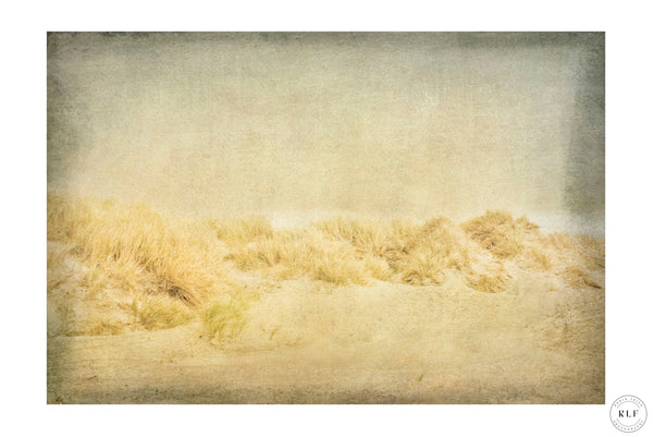 Dunes II