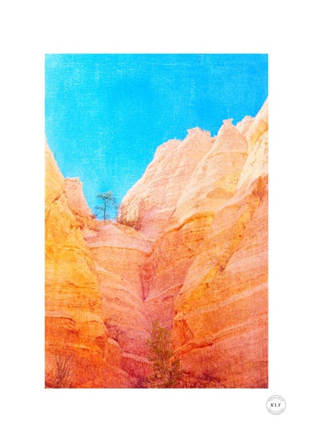Into The Canyon III