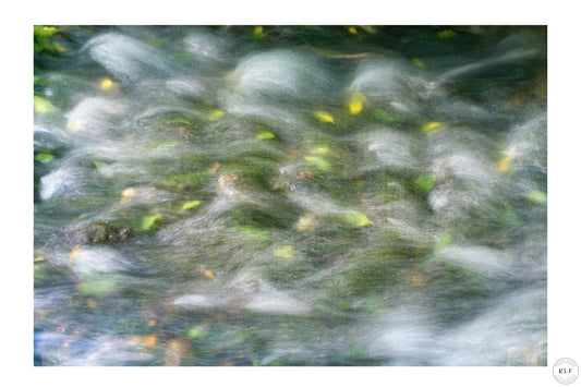 Abstract digital photograph of autumn leaves swirling in a fast-flowing stream, with soft green and yellow tones, capturing movement and nature’s beauty. Fine art photography by RLF Photography