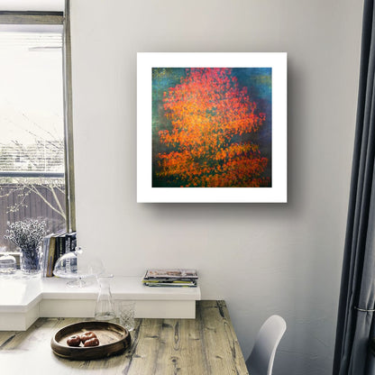 Acers (Limited Edition)