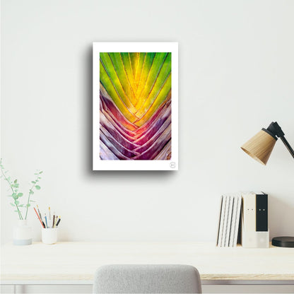 Chromatic Fan