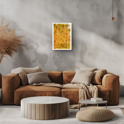 Aureliean Autumn (Limited Edition)