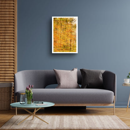 Aureliean Autumn (Limited Edition)