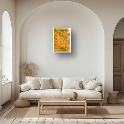 Aureliean Autumn (Limited Edition)