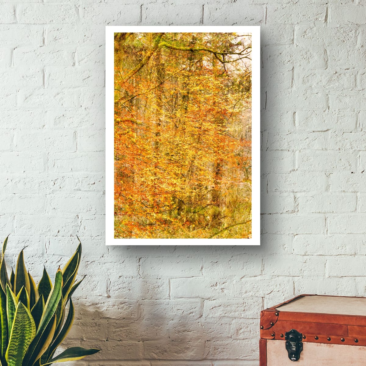 Aureliean Autumn (Limited Edition)