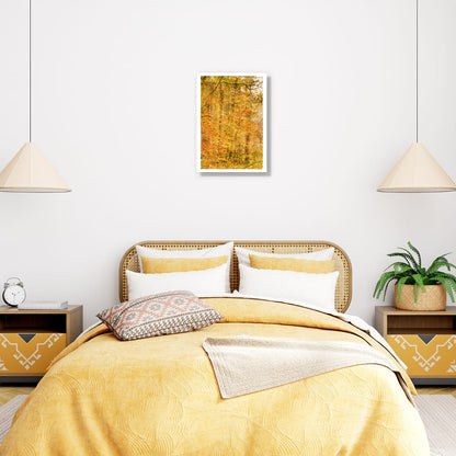 Aureliean Autumn (Limited Edition)