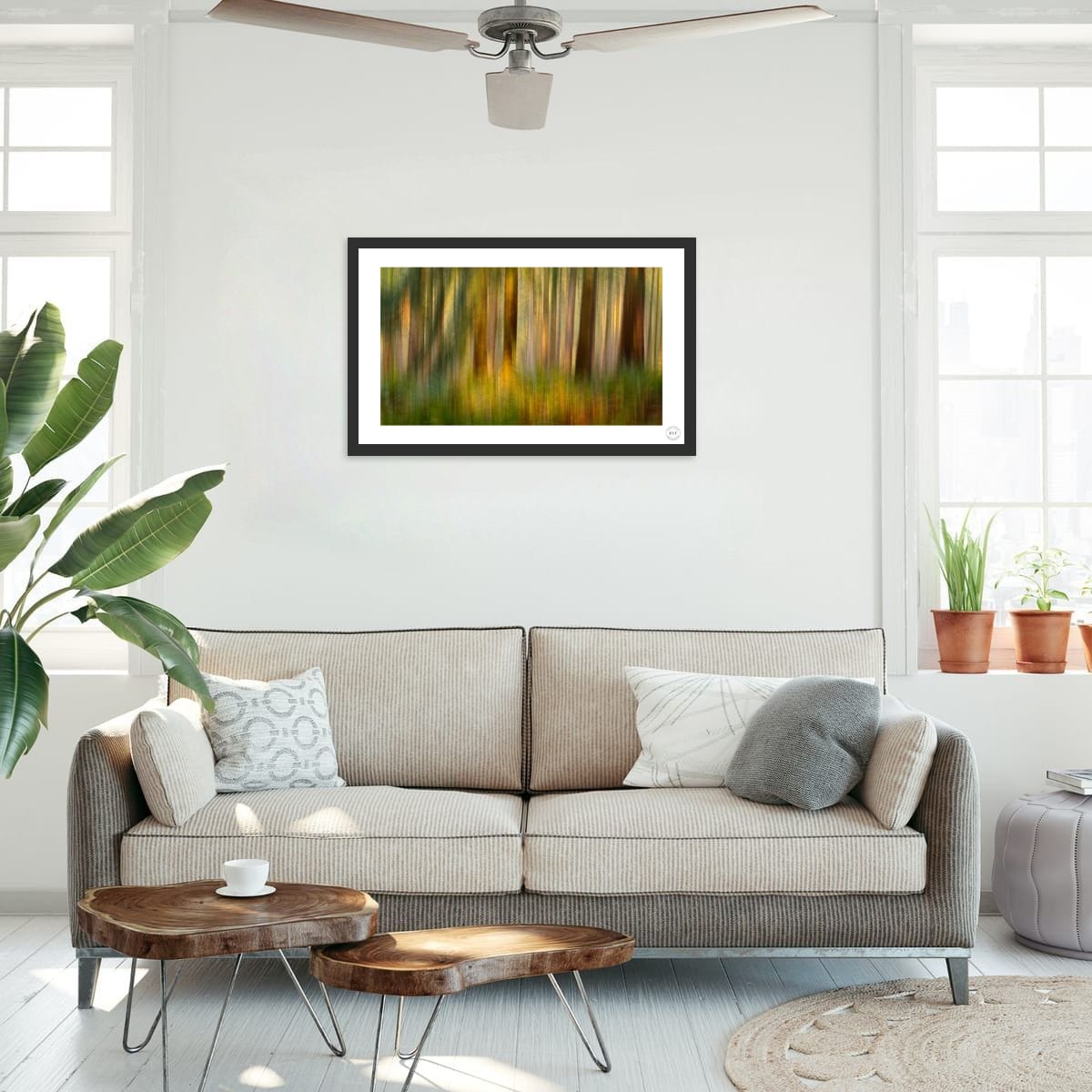 Ferns and Firs (Limited Edition)