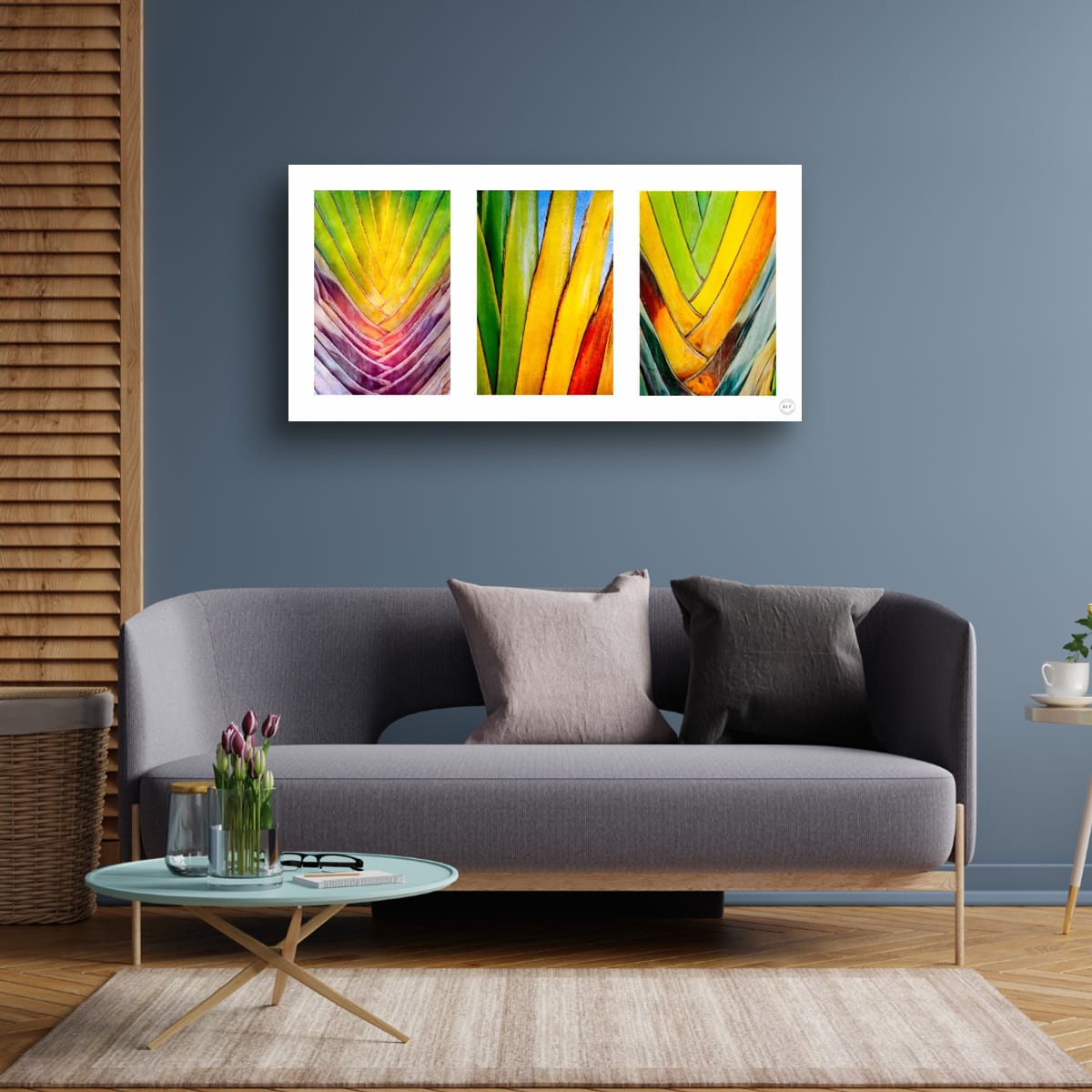 Chromatic Cactus Triptych