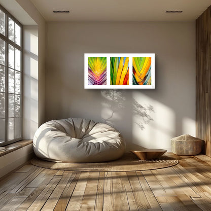 Chromatic Cactus Triptych